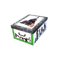 Scatola portaoggetti armadio 51x37x24cm - Dog Collection