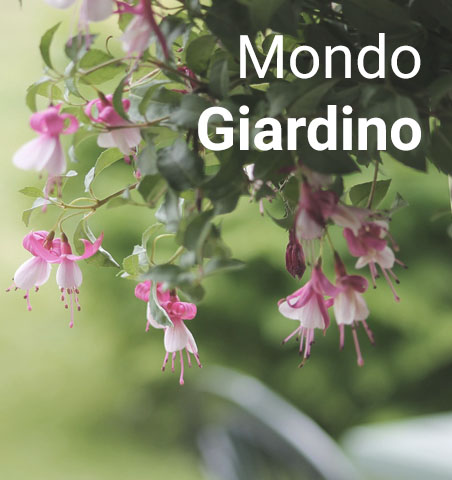 Giardino e giardinaggio